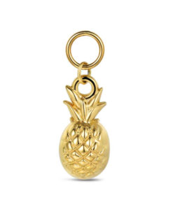Charm de acero 316 chapado 18 kt piña waterproof 20 mm Ref : 9125596